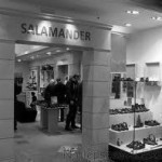 Salamander