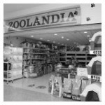 ZOOlandia