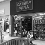 Galeria Wina