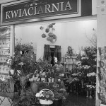 Kwiaciarnia Greem