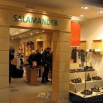 Salamander